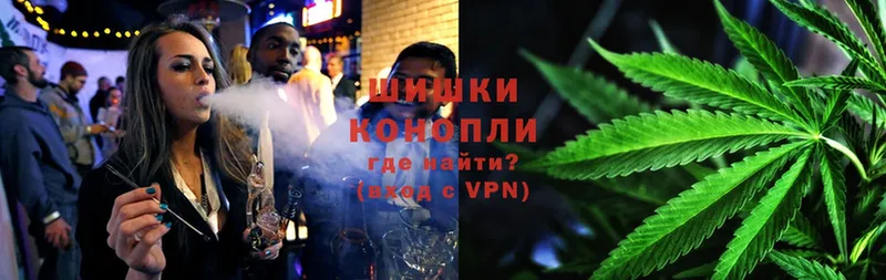 Конопля SATIVA & INDICA  купить  цена  Собинка 